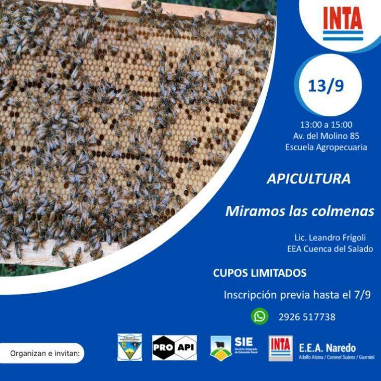Charla técnica de apicultura "Miramos las colmenas"