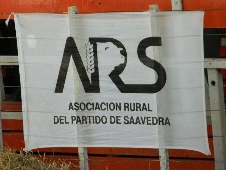 Cumpliendo 80 años, la Exposición de Saavedra abre sus puertas