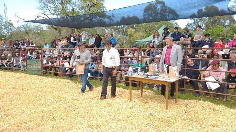EXPO RURAL 2023: presentación de los campeones