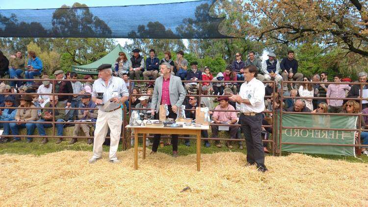 EXPO RURAL 2023: presentación de los campeones