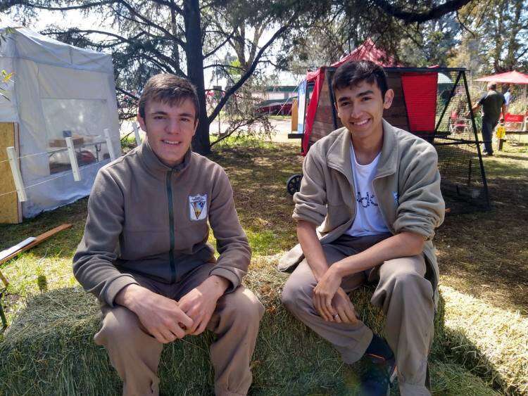 EXPO RURAL 2023: los alumnos de la Escuela Agropecuaria comparten su esfuerzo