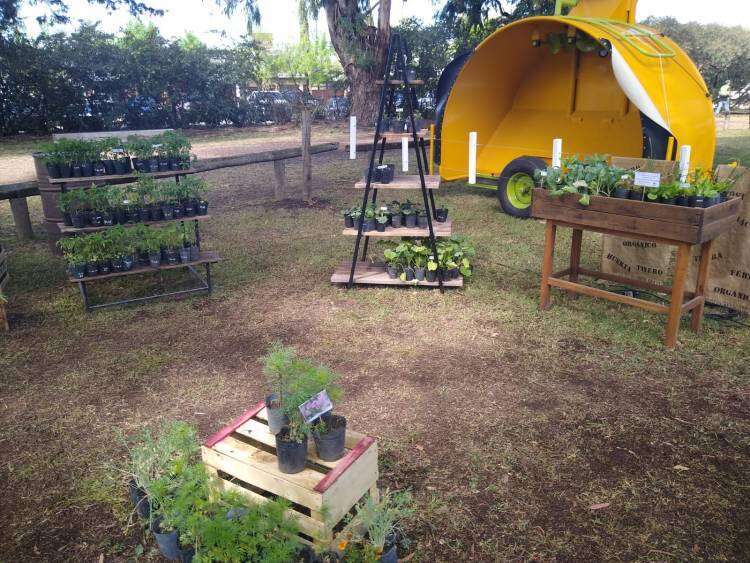 EXPO RURAL 2023: los alumnos de la Escuela Agropecuaria comparten su esfuerzo