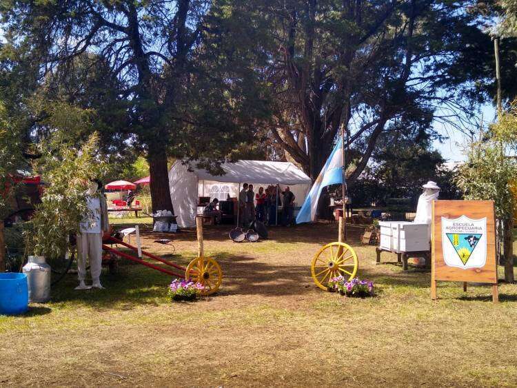 EXPO RURAL 2023: los alumnos de la Escuela Agropecuaria comparten su esfuerzo