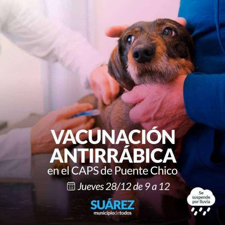 Campaña de vacunación antirrábica en Barrio Puente Chico
