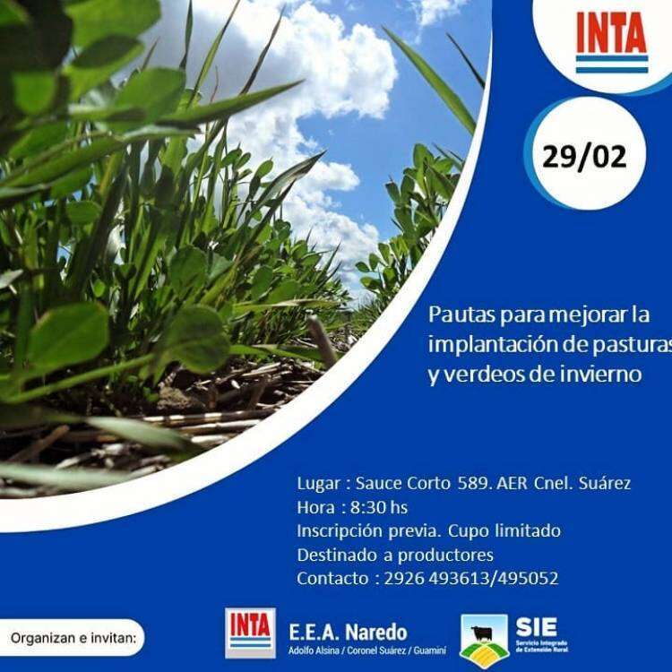 “Pautas para mejorar la implantación de pasturas y verdeos de invierno”: una nueva jornada técnica de INTA Coronel Suárez