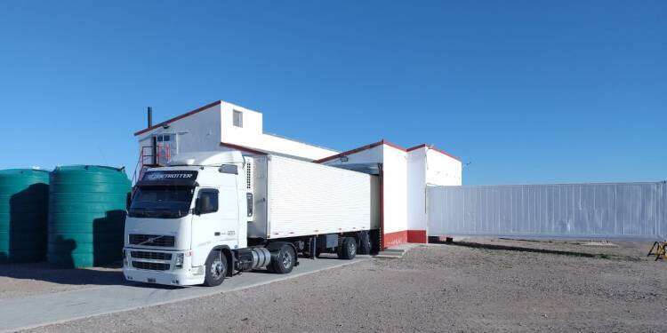 Argentina concretó primera exportación de carne ovina desde la Patagonia con certificación halal a Qatar