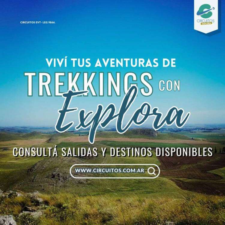 Circuitos Viajes y Turismo: una amplia gama de ofertas, tanto regionales como nacionales