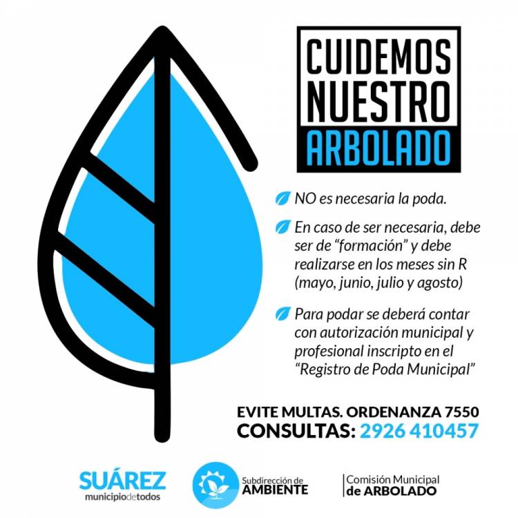 Ambiente y la Comisión Municipal de Arbolado y sus consejos para el cuidado del arbolado urbano