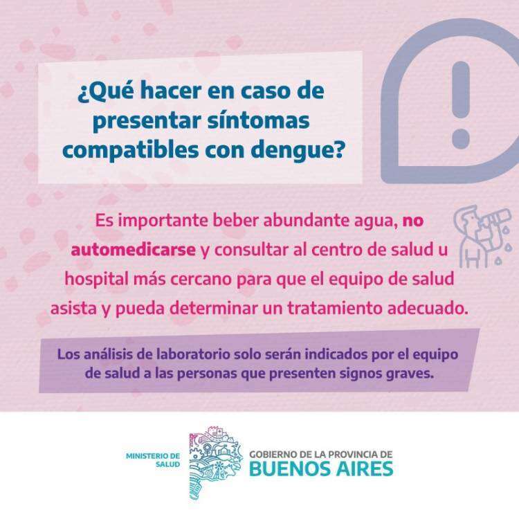 Sin mosquito no hay Dengue