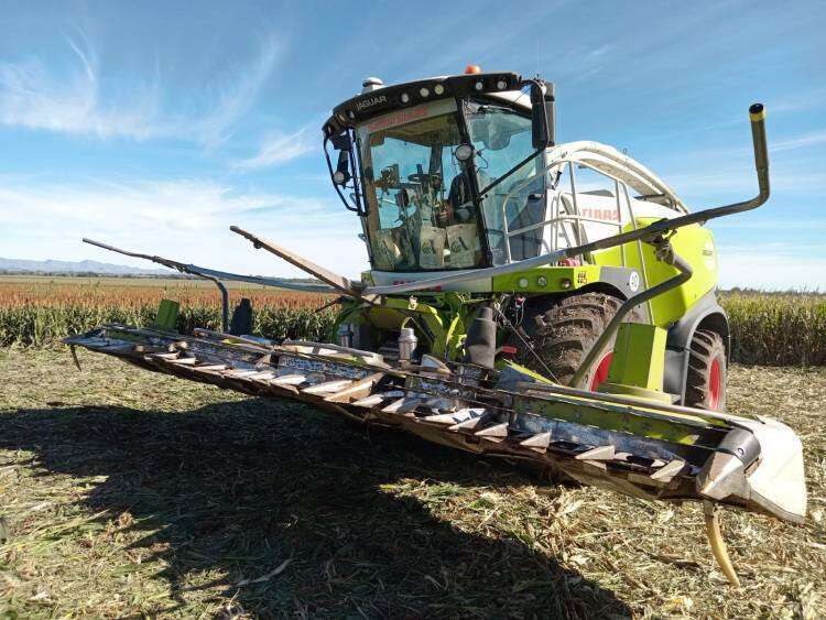 Tamesar Silajes presentó una dinámica de picado en la jornada AIC Ganadera de Advanta