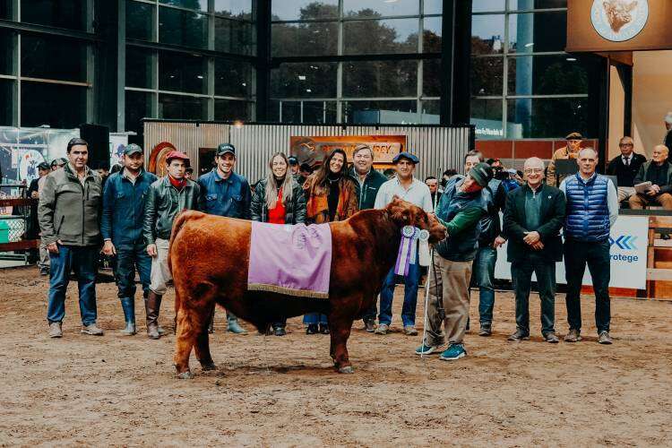 Veredictos 22 de Mayo - Expo Angus de Otoño