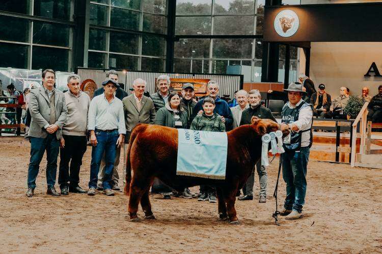 Veredictos 22 de Mayo - Expo Angus de Otoño