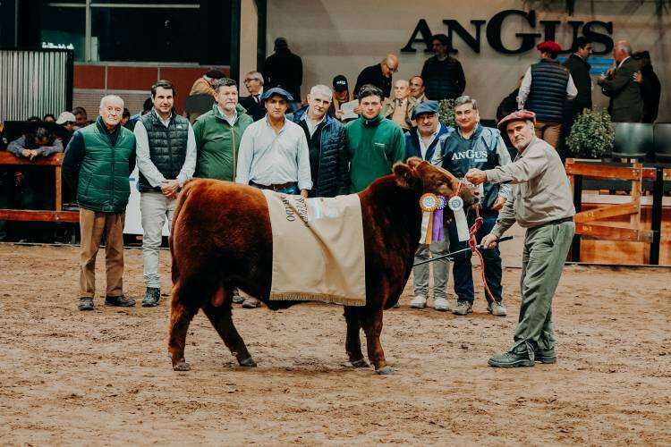 Veredictos 22 de Mayo - Expo Angus de Otoño