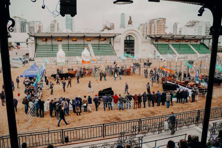 Veredictos 22 de Mayo - Expo Angus de Otoño