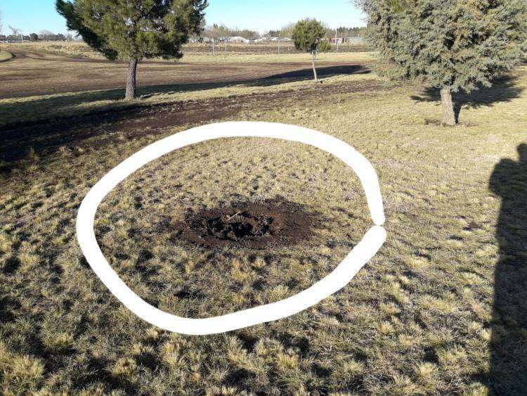 Indignante. Vandalizaron el camión del Bosque de la Gloria y robaron arbustos