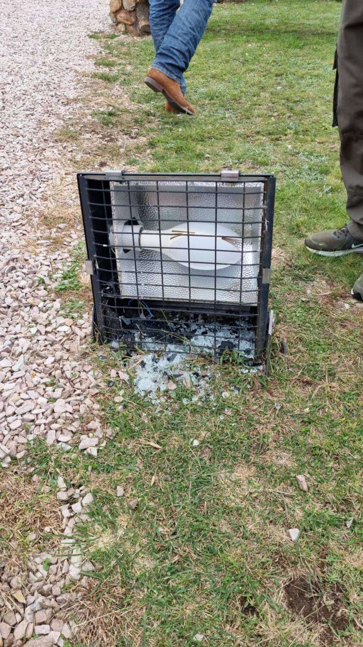 Indignante. Vandalizaron el camión del Bosque de la Gloria y robaron arbustos
