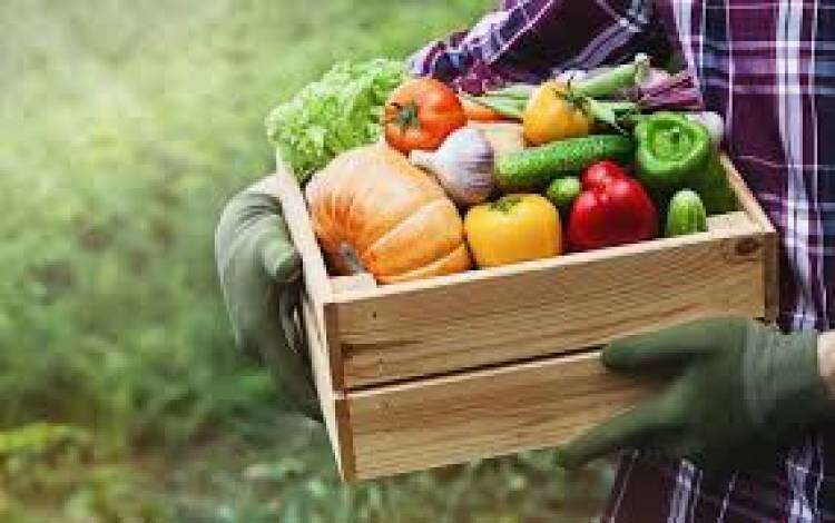 HELM Crop Solutions, Banco de Alimentos y Manos en Acción se unieron en un llamado al agro para promover juntos la responsabilidad social y una alimentación de  calidad y sustentable