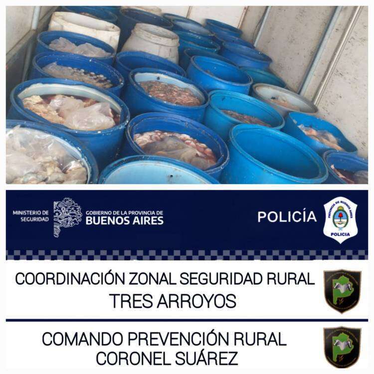 Decomisaron 20.000 kg de menudencias
