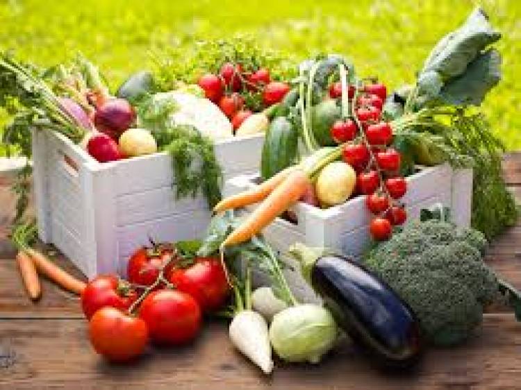 Huerta de primavera y verano. Claves para sembrar  correctamente , aprender a compostar y lograr un buen suelo