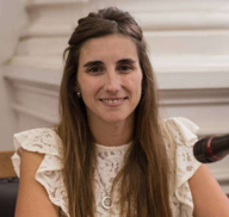 Última sesión del año del HCD. "Nos quedan pendientes las respuestas a los proyectos presentados"