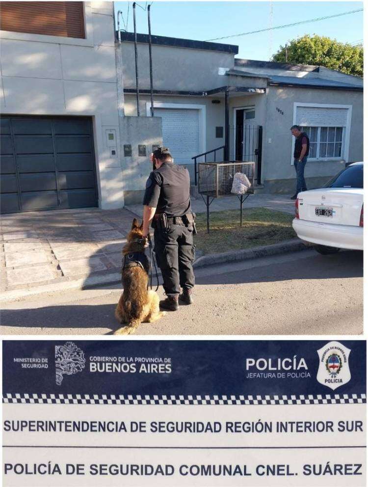 Allanamientos y detenciones por comercialización de estupefacientes