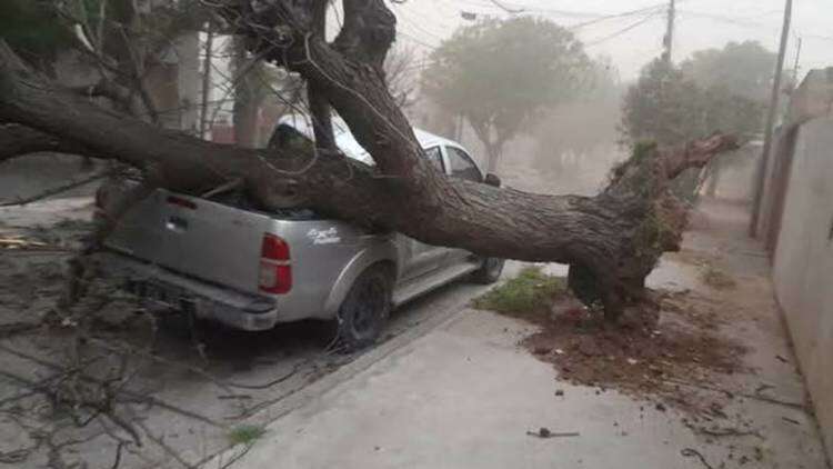 Un fuerte temporal azotó San Luis: dejó grandes destrozos, cortes de luz y árboles caídos