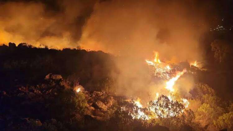 Incendio en Tandil: los bomberos lograron contener al fuego e investigan cómo se originó