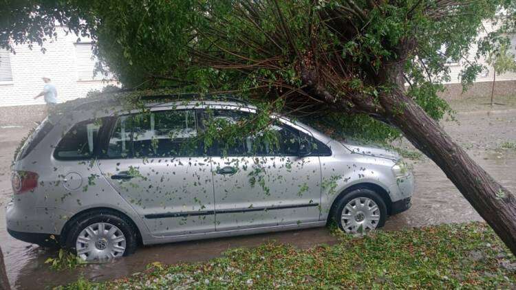 Bahía Blanca: tormenta dejó numerosos daños y cinco heridos