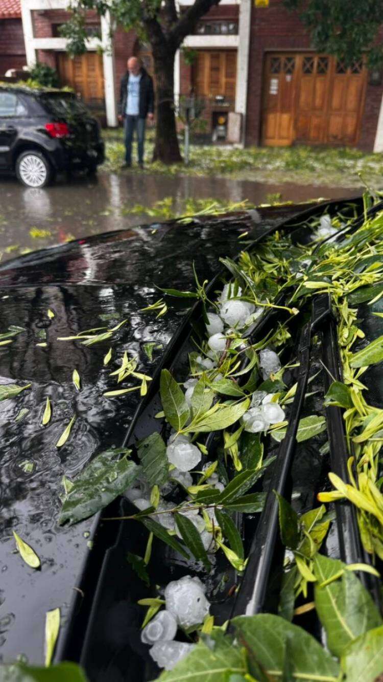 Bahía Blanca: tormenta dejó numerosos daños y cinco heridos