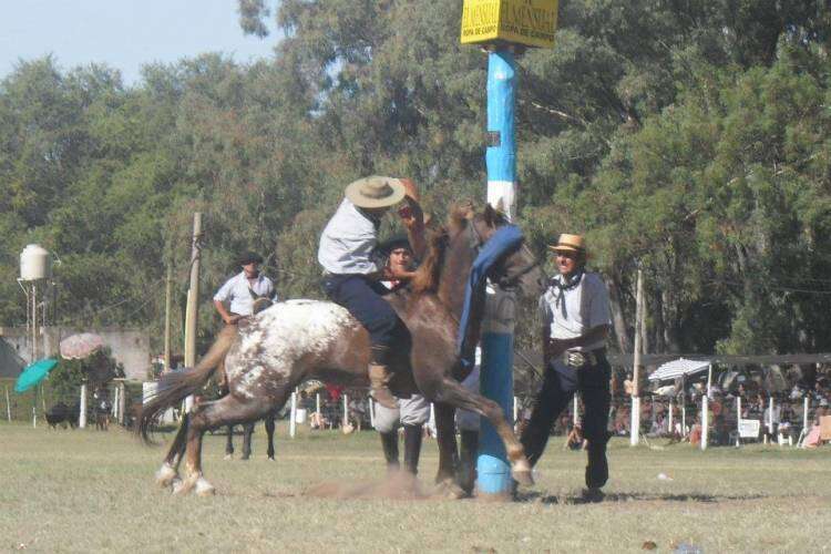 Tradición y cultura en una nueva edición de la Fiesta del Reservado en la Laguna Las Encadenadas