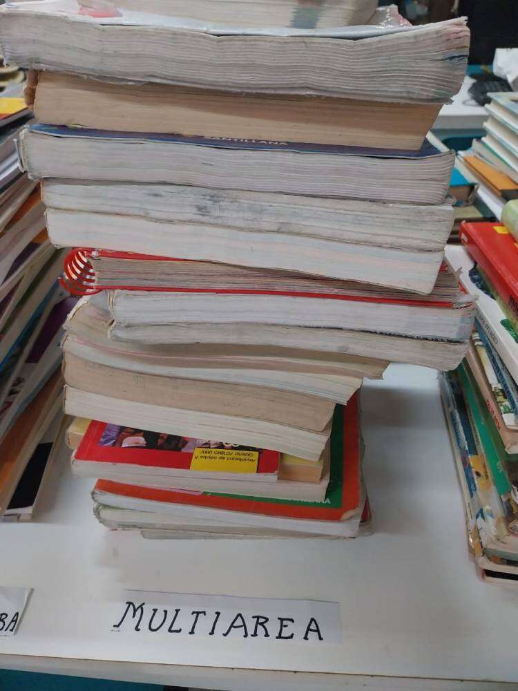 Donación de Libros Gratis en la Biblioteca Infantil de Coronel Suárez