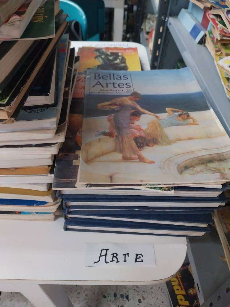 Donación de Libros Gratis en la Biblioteca Infantil de Coronel Suárez