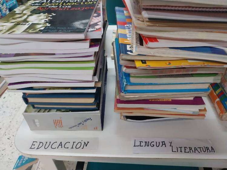 Donación de Libros Gratis en la Biblioteca Infantil de Coronel Suárez