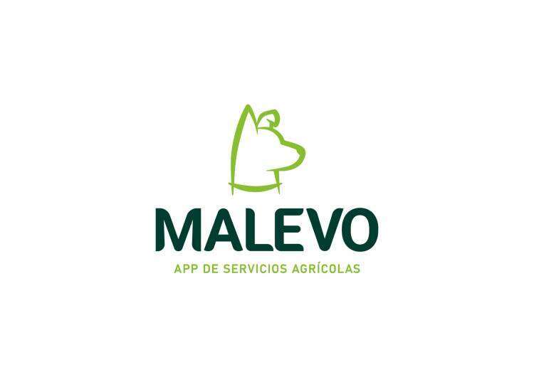 Avanza con rapidez la digitalización de maquinaria en Malevo