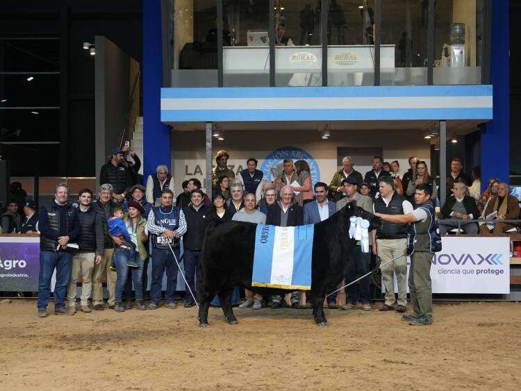 La Gran Campeón Hembra Negra fue para La Alianza y la Colorada para La Rubeta