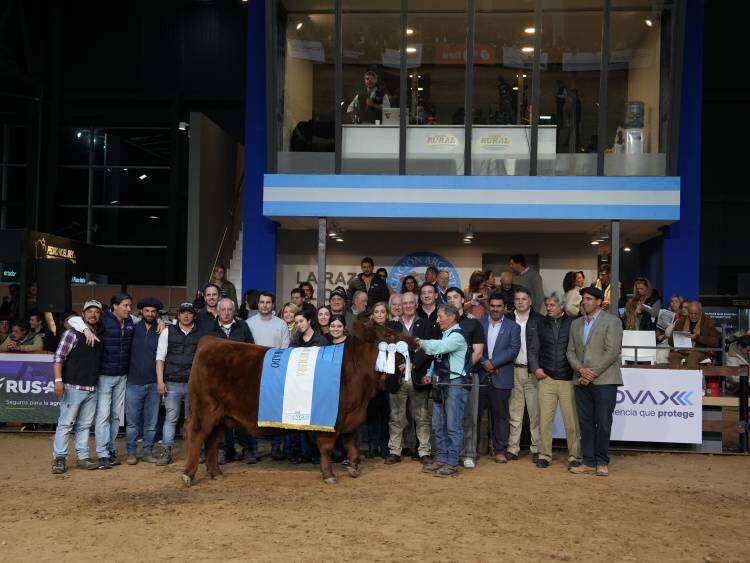 La Gran Campeón Hembra Negra fue para La Alianza y la Colorada para La Rubeta