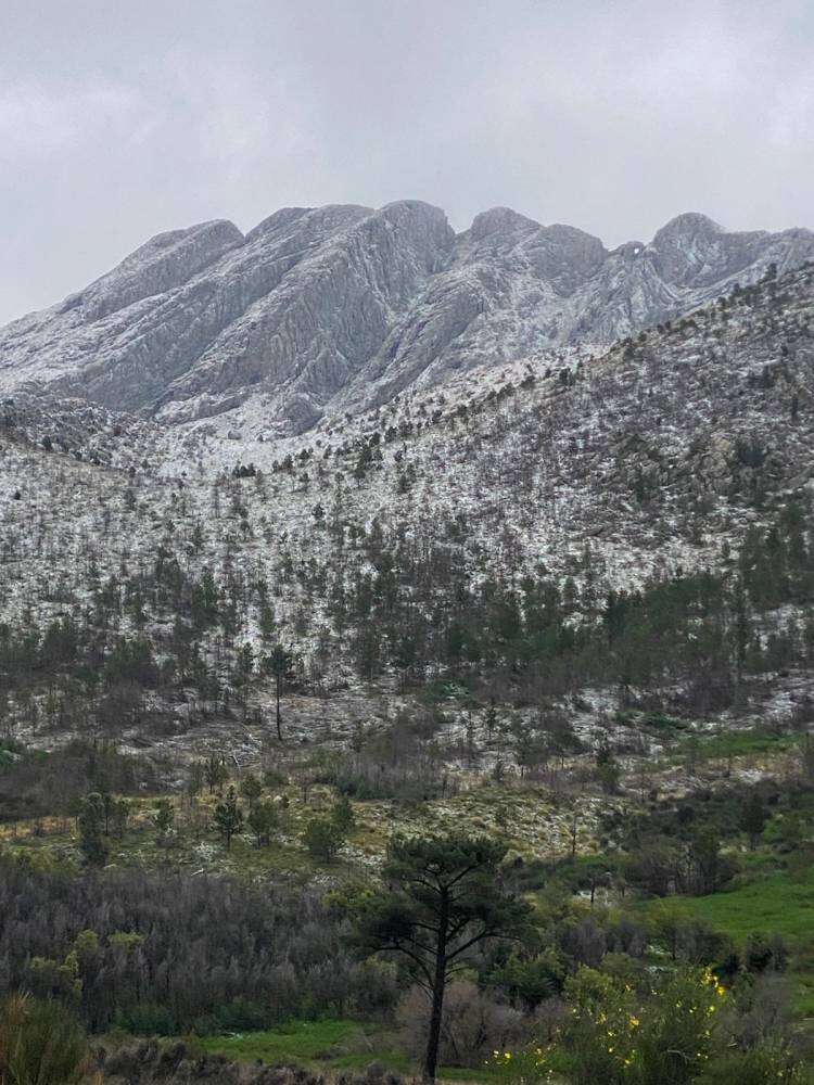 Nieve en Sierra de la Ventana