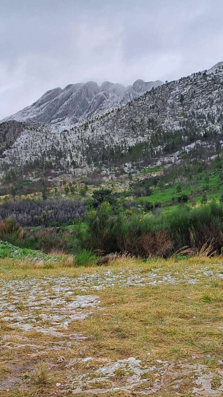 Nieve en Sierra de la Ventana