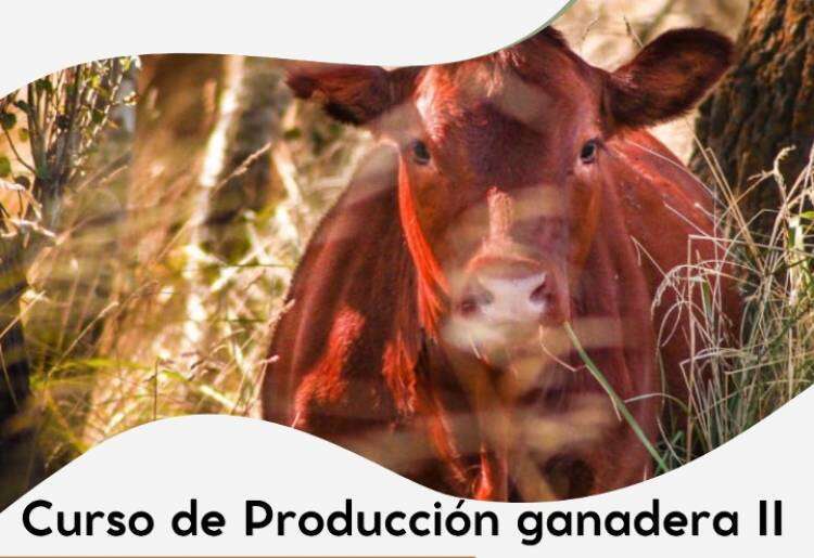 Curso de Producción Ganadera II