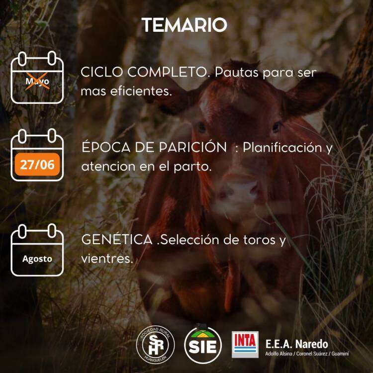 Curso de Producción Ganadera II