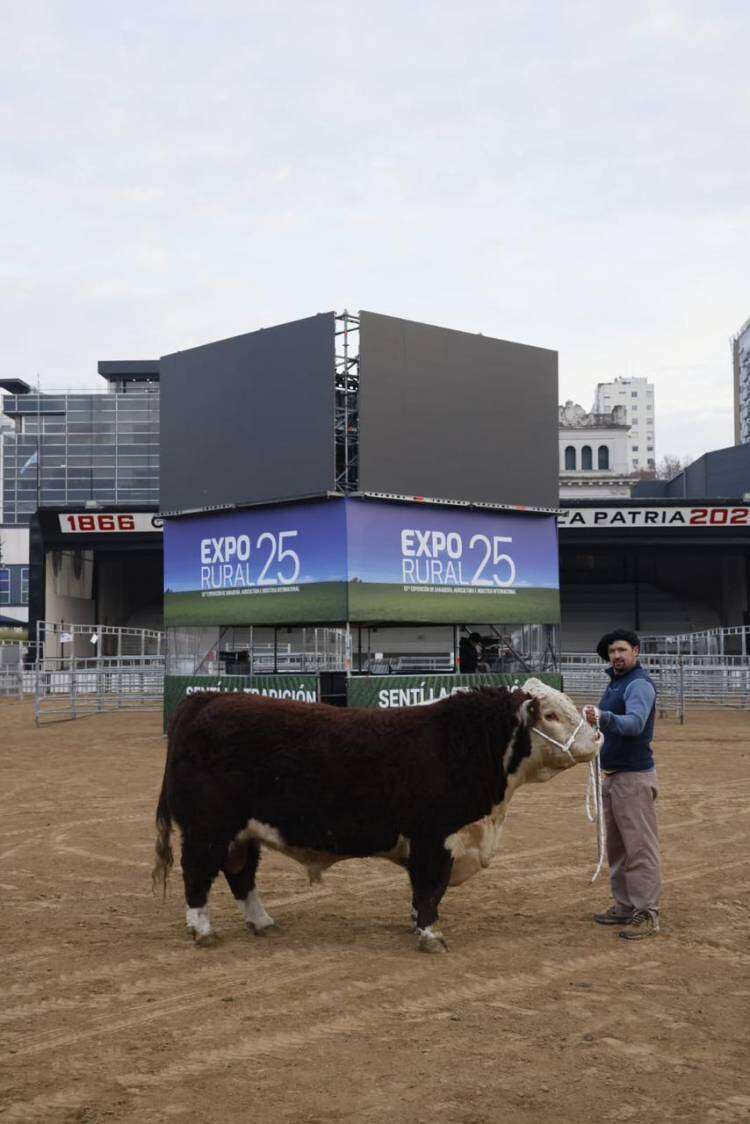 Llegó Escocés a la Expo Rural 25