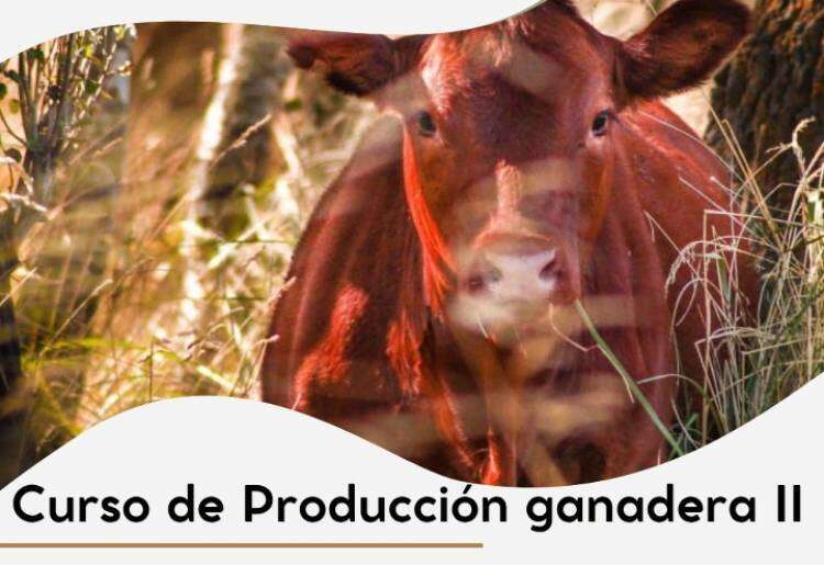 Curso de Producción Ganadera II