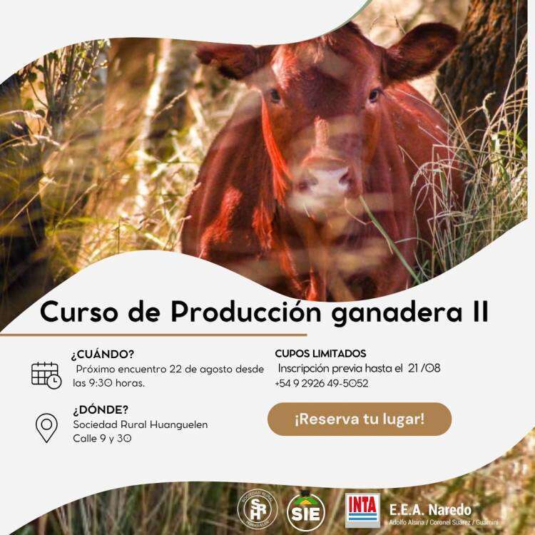 Curso de Producción Ganadera II