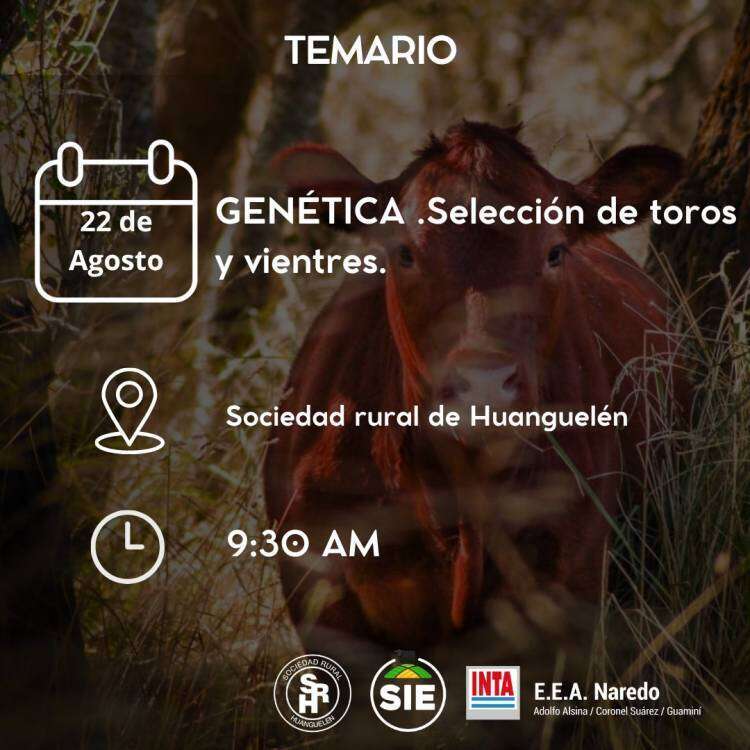 Curso de Producción Ganadera II