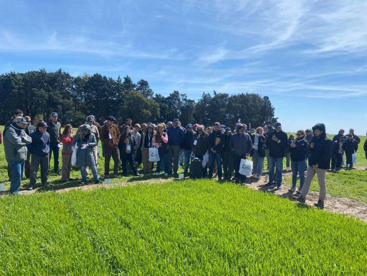 Ing. Ignacio Ducos: "ofrecer mejores productos... es lo que nos interesa..."