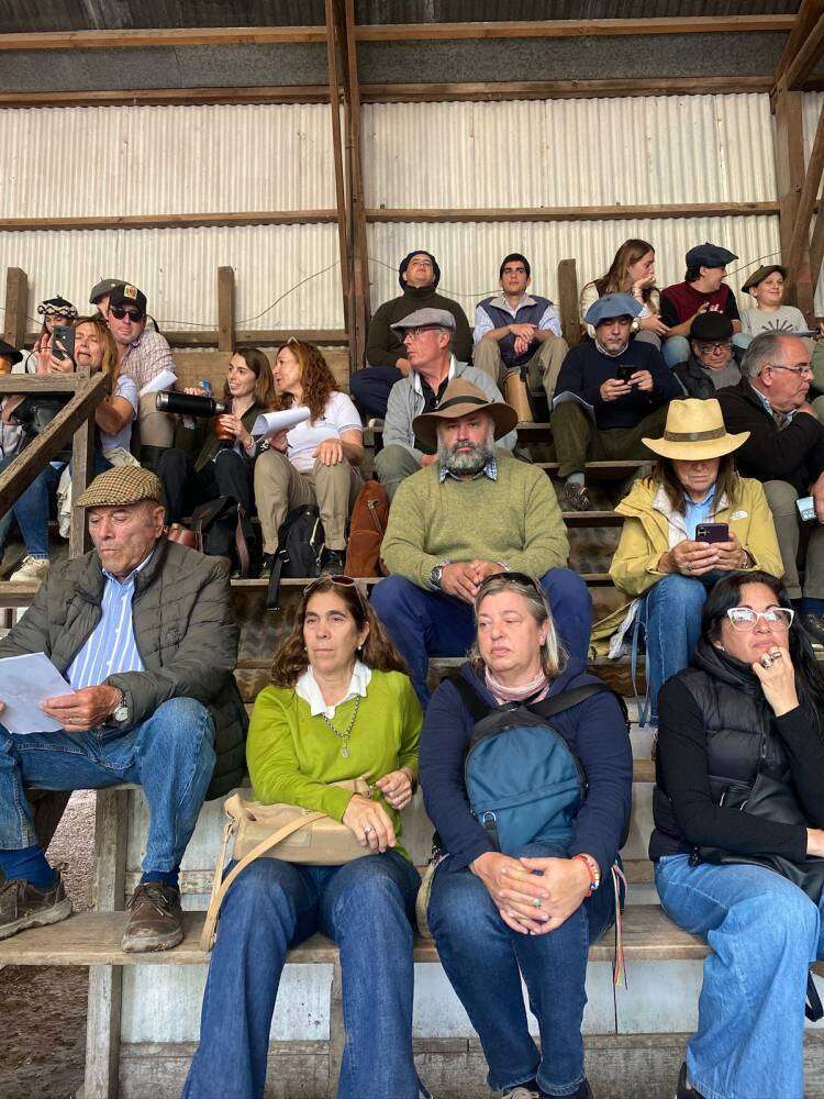 El Gran Campeón Angus de la 106° Expo Rural se vendió en 31 millones de pesos