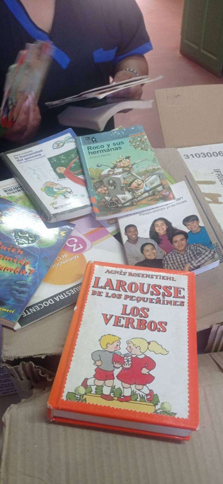 La Biblioteca Popular Infantil concluyó con éxito la donación de libros en escuelas de frontera
