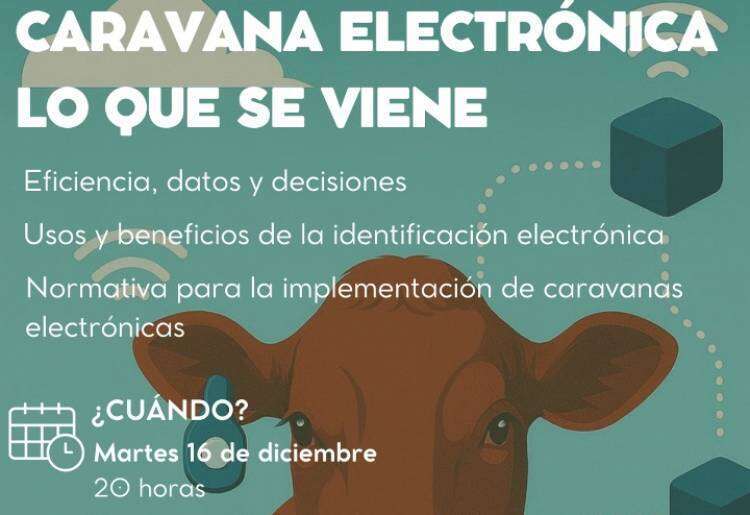 Caravana Electrónica: lo que se viene