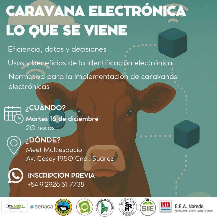 Caravana Electrónica: lo que se viene