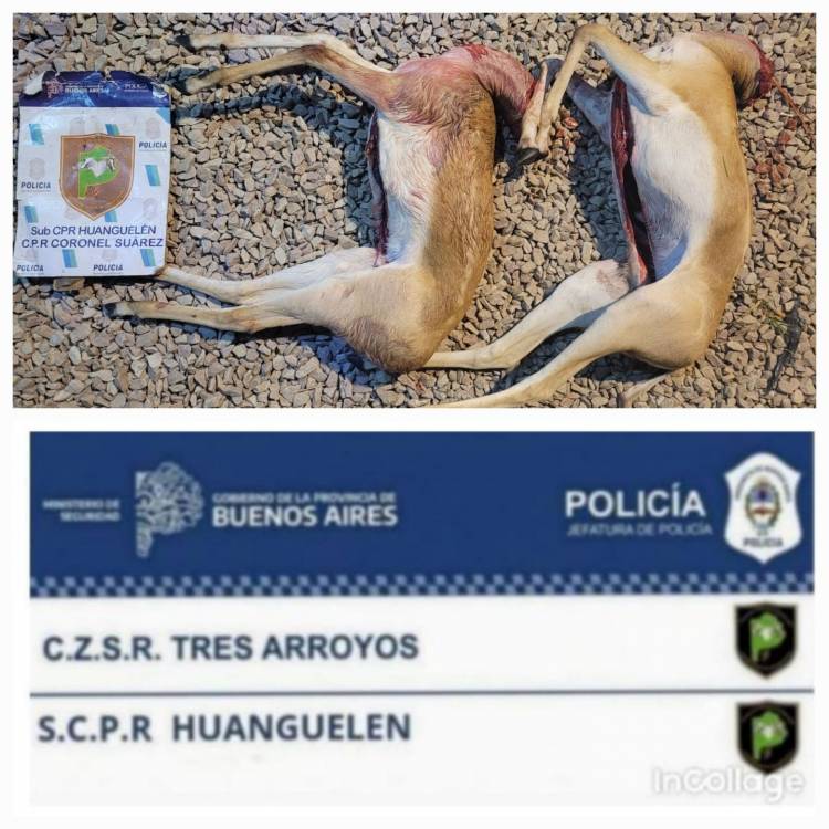 Tres aprehendidos por tenencia ilegal de armas y caza furtiva en Huanguelén